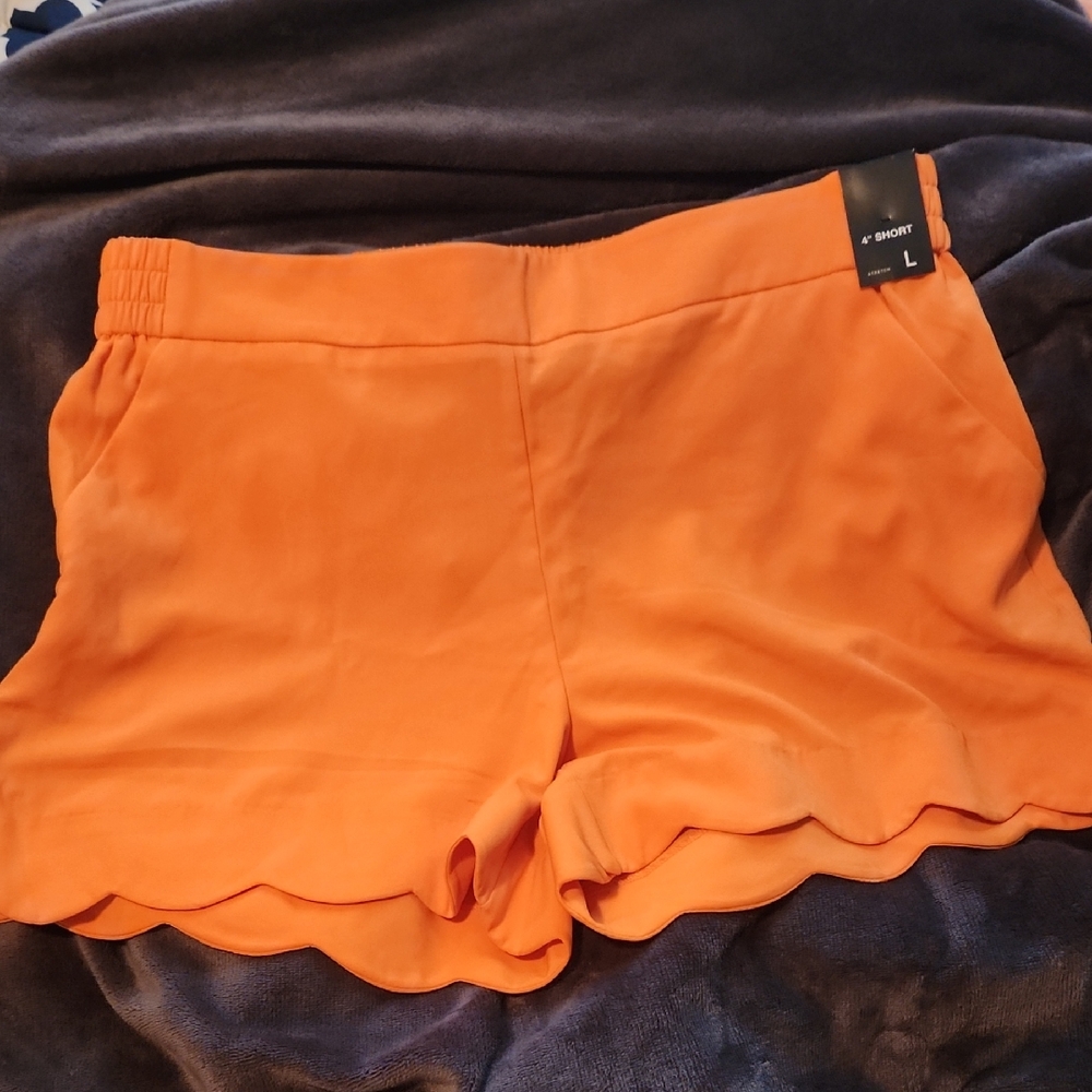 New York & Co Tennessee Orange Women's Shorts
